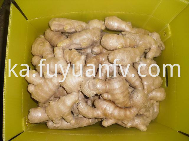 air dried ginger (99)